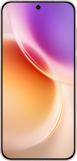 Vivo X300
